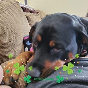 Meet your Posher, Darla